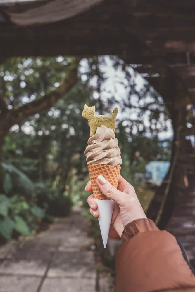 ice_cream_cat