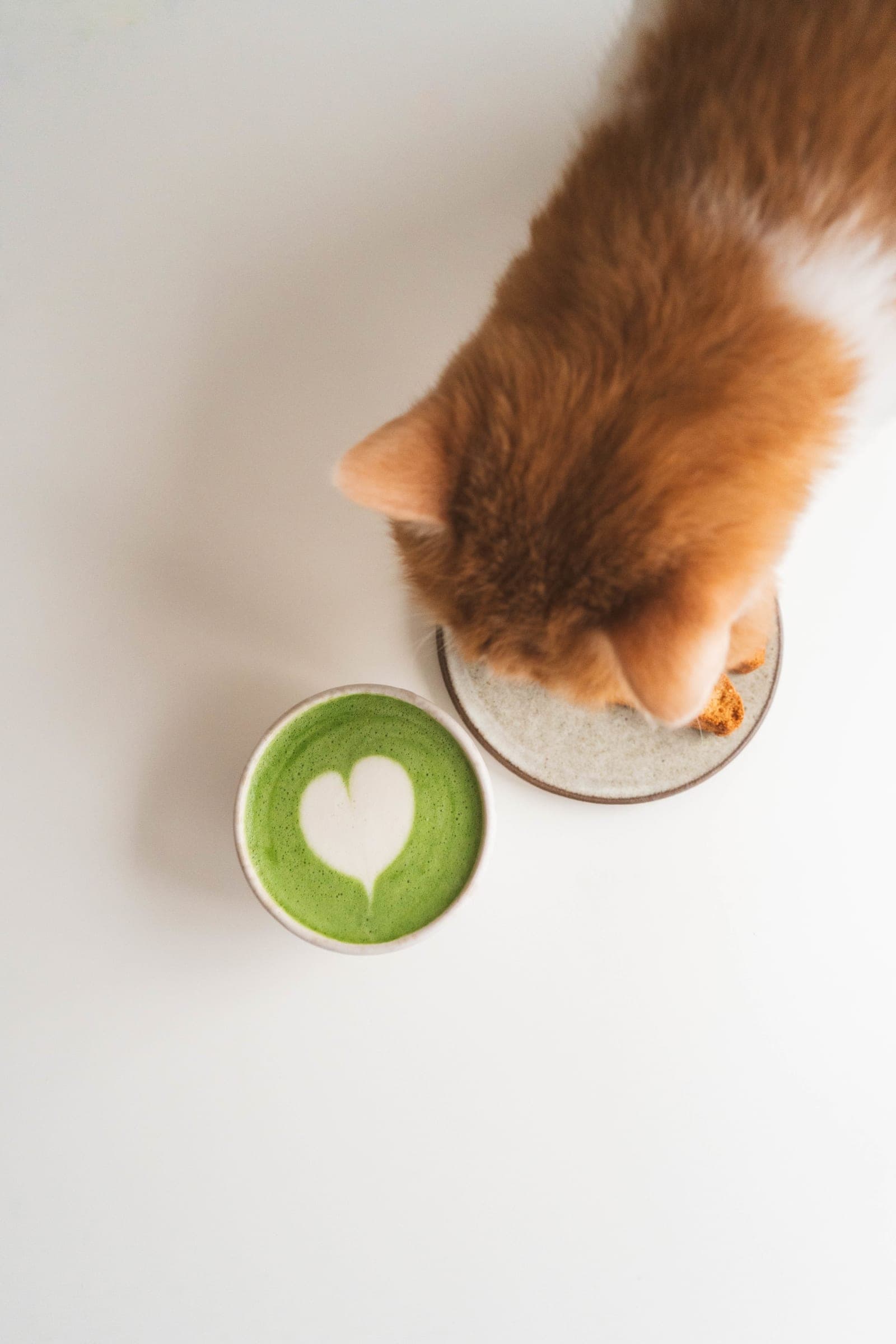 matcha_taters