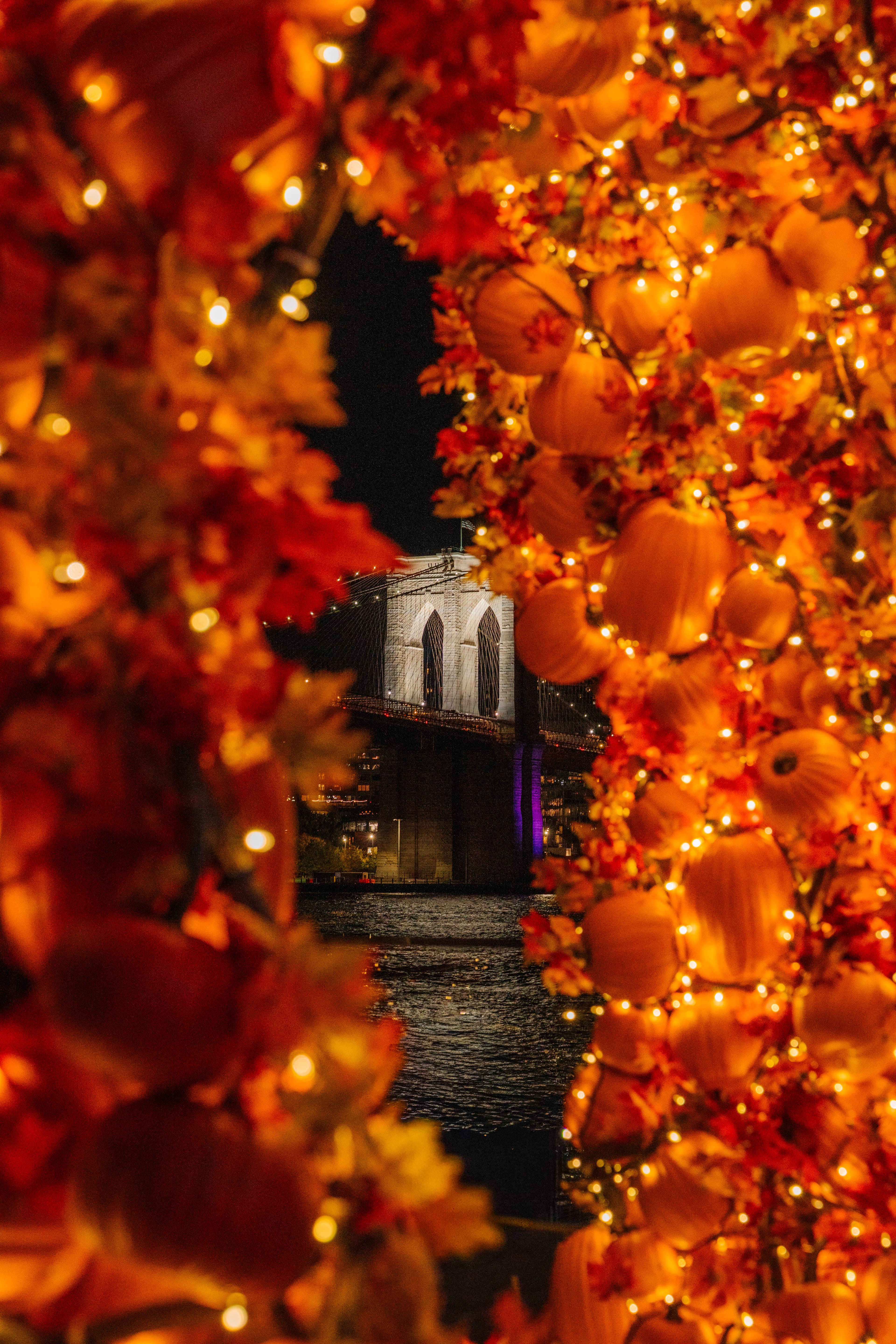 seaport_pumpkin_arch_night